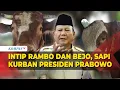 Download Lagu Intip Rambo dan Bejo, Sapi Kurban Presiden Prabowo asal Tegal dan Polewali Mandar