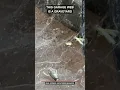 This Garage Spider s Web Is a Graveyard