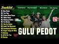 Download Lagu Dangdut Koplo Viral Terbaru 2025 - Dike Sabrina Album - Niken Melani - Silvi Kumalasari - Gulu Pedot