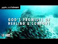 God s Promises of Healing Comfort - 10 Hour Scripture Soaking With God s Word