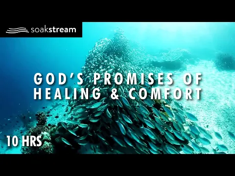 Download MP3 God's Promises of Healing & Comfort - 10 Hour Scripture Soaking With God's Word