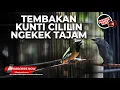 Download Lagu 🔴Kompilasi Masteran Srigunting Abu Abu vs Cucak Cungkok Gacor Isian Cililin Kunti Ngekek