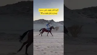 النيه كنتر وقوف على الخيل وصارت فتح وقوف 