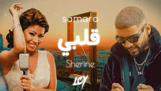                                                  دندنها
