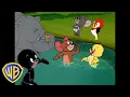 Download Lagu Tom \u0026 Jerry | Animal Friends! 🐘🦭 | Animals Takeover | @wbkids