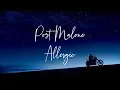 Post Malone - Allergic