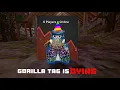 Gorilla Tag Is Getting Deleted
