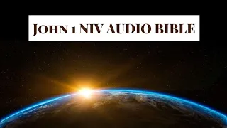 JOHN 1 NIV BIBLE with text
