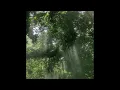 Christian Kuria - Deep Green