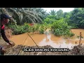 Download Lagu YANG TAK TERDUGA❗❗ MANCING IKAN BAUNG DI AIR KERUH