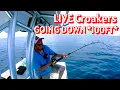 Red Snapper 2025 Opener ENTIRE Day Fishing 22 Miles Offshore 17FT Cape Horn