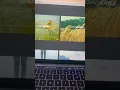 CSS Hover Effect Ideas
