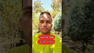طلا مناسب سرمایه گذاری   چه طلایی برای سرمایه گذاری بخرم    چه طلایی بخرم   دندنها