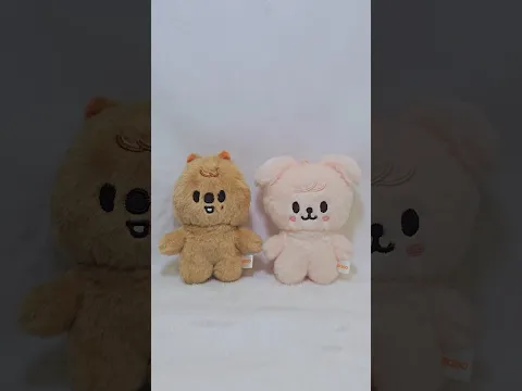 Han Quokka, PuppyM, HAN, Seungmin Chk Chk Boom