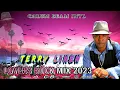 Lagu Terry Linen | The Best of Terry Linen Hits | Reggae Lovers rock | Calum beam intl