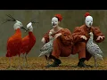 Official Music Video - The Things We Do - Kelly Boesch | 4K