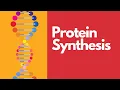 Protein Synthesis in Simple Terms