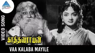 kathavarayan old tamil movie songs vaa kalaba mayile video song sivaji ganesan savitri