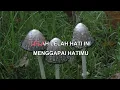 Download Lagu TIRAI RAFIKA DURI Indonesian Malay Karaoke