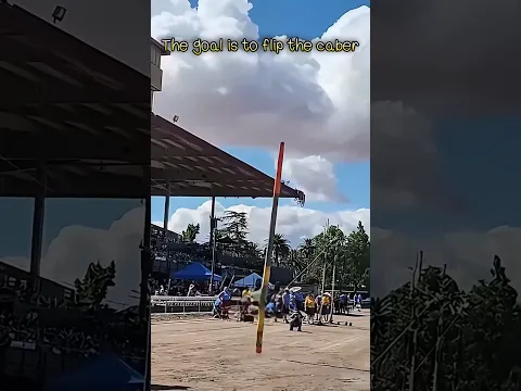 The Stick-Flipping Contest! 🇬🇧