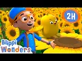Spring Chick Blippi Wonders Preschool Learning Moonbug Tiny TV