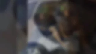 احل اغني الى دار الوتد دندنها