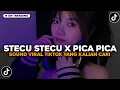 Download Lagu DJ STECU STECU X PICA PICA || DJ STECU VIRAL TIKTOK TERBARU 2025 YANG KALIAN CARI!!!