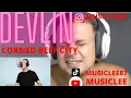 DEVLIN CORNED BEEF CITY