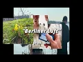 FREE | Ion Miles x Sira Type Beat - "Berliner Luft"