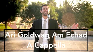 ARI GOLDWAG A Cappella Am Echad ארי גולוואג עם אחד ווקאלי 