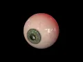 Halloween Projection Loop Squishy Eyeball Loop