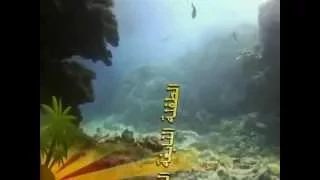 الطفلة النابغة الزهراء لايق حلمى  وهى تقرأ سورة الضحى الطفلة نشأت فى قرية الشباسية بكفرالشيخ دندنها