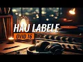 Download Lagu Ovid 16 - Hau Labele (Lirik Musik Video)