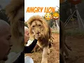 Download Lagu Lion gets Angry!😤😳