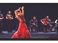 Download Lagu La bailaora Patricia Guerrero por tangos | Flamenco en Canal Sur