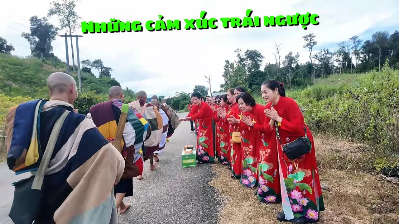 Outline Video Rạng Sáng Sư Minh Tuệ Rời Khỏi Chỗ Nghỉ Trong Rừng Quý Phật Tử Đã “Ùn Ùn Kéo Tới“