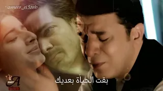 محتاج اشوفك و المسكameer El3zab 