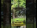 Download Lagu Murai batu nembak parkit sambung lovebird #gacor #shorts  #short #shortsvideo  #muraibatu