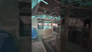 Naked delight. Shell almost done.  #aluminiumfabrication # #welding #boatbuilding #performanceboats