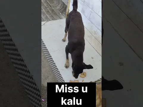 Miss u