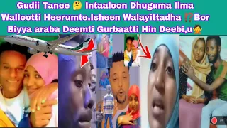 Ayii Imamaan Qabachuun Dadhabe Intalon Dhuguma Herumte Bor Arabatti Deebiti 