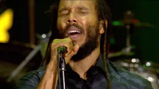 ziggy marley positive vibration bob marley cover live at exit festival 2018 