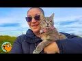 Download Lagu Cat Jumped Into Her Car and Never Looked Back | Cuddle Buddies
