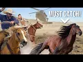 Catching Wild Horses With Heavy D Sparks