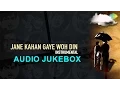 Jane Kaha Gaye Woh Din Instrumental Jukebox | Best Of Raj Kapoor | Old Hindi Instrumental Songs