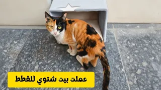 تجهيز بيت شتوي دافئ للقطط قبل دخول الشتاء بخامات بسيطة