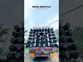 Download Lagu dj Royal wave 3.0 new setup ##viralvideo #djviral #djroyal #djremix