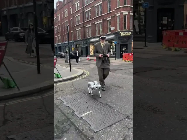 Робопёс