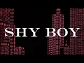 Download Lagu Carly Rae Jepsen - Shy Boy — Lyric Video