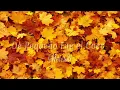 De pequeño fue el coco - Melendi (Letra + vietsub)